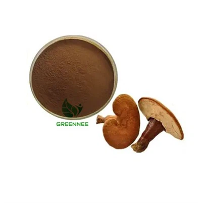 Reishi sopppulver 30% polysakkarider +20% -glucan